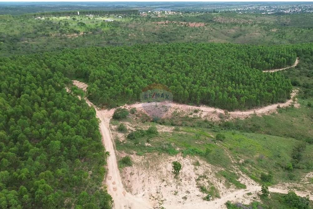 Fazenda - Venda - Inimutaba , Minas Gerais - Imagem instantânea 6.jpg - 870411101-21