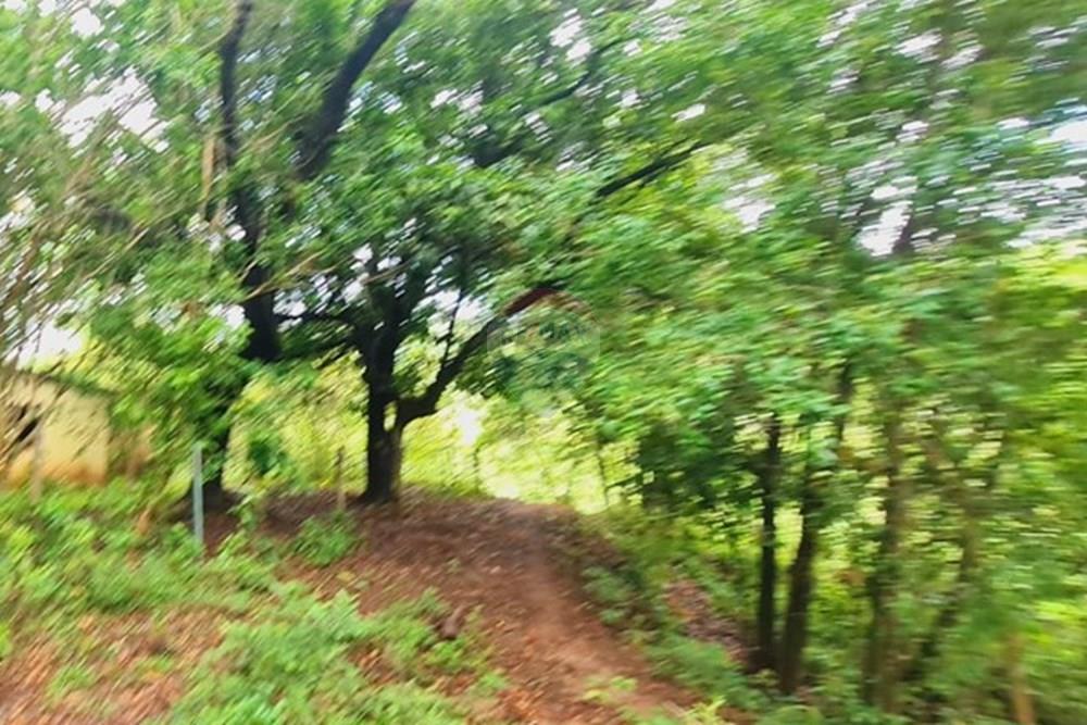 Fazenda - Venda - Pedro Leopoldo , Minas Gerais - WhatsApp Image 2025-12-11 at 16.48.47.jpeg - 870411117-34