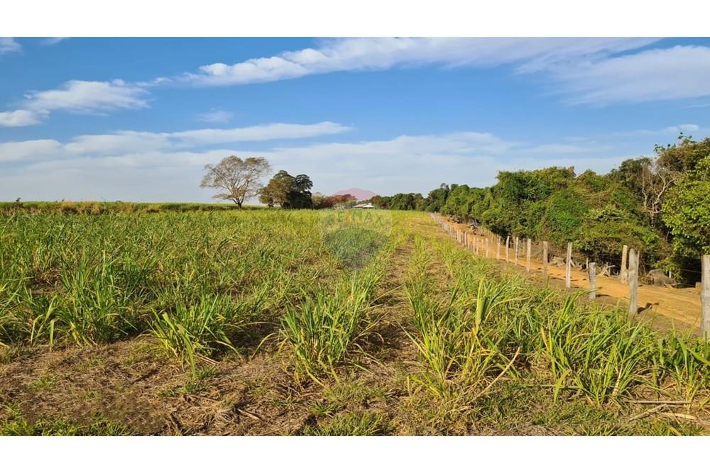 Chácara / Sítio / Fazenda - Venda - Uberaba , Minas Gerais - 12 Fazenda Venda R$ 6.500.000 em Uberaba na Remax 870291025-115.jpeg - 870291025-115