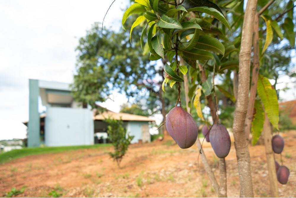 Casa de Condomínio - Venda - Igarapé , Minas Gerais - DSC00154.jpg - 870411113-23