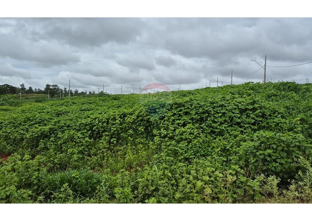 Terreno - Venda - Araxá , Minas Gerais - RODRIGO 4.jpeg - 870431054-10