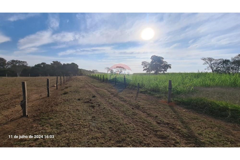 Chácara / Sítio / Fazenda - Venda - Uberaba , Minas Gerais -  (14).jpeg - 870291025-115