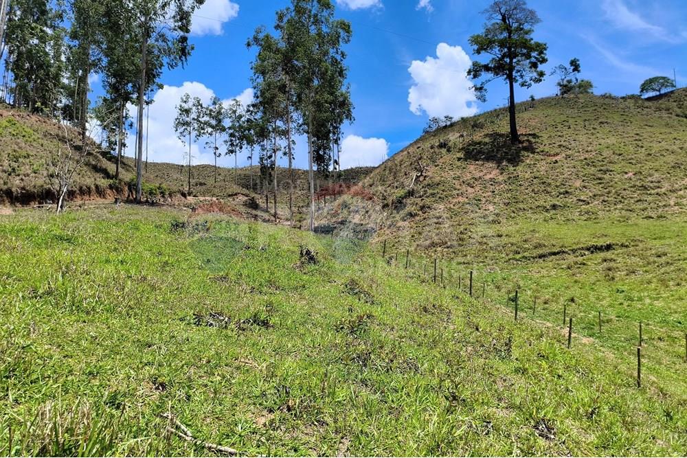 Chácara / Sítio / Fazenda - Venda - Taparuba , Minas Gerais - 3_image_3_watermark_sex._19122025_102039.jpg - 870451001-158