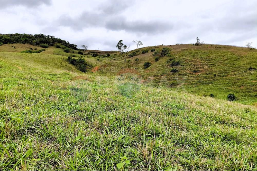 Chácara / Sítio / Fazenda - Venda - Ipanema , Minas Gerais - 3_image_3_watermark_qui._20112025_124802.jpg - 870451013-80