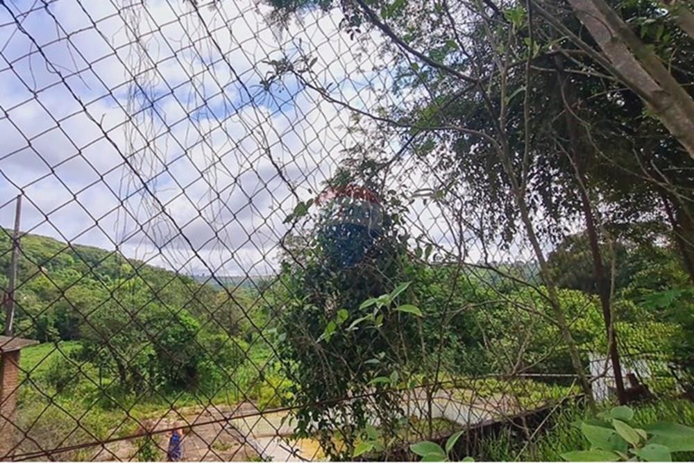 Fazenda - Venda - Pedro Leopoldo , Minas Gerais - WhatsApp Image 2025-12-11 at 15.19.23.jpeg - 870411117-34