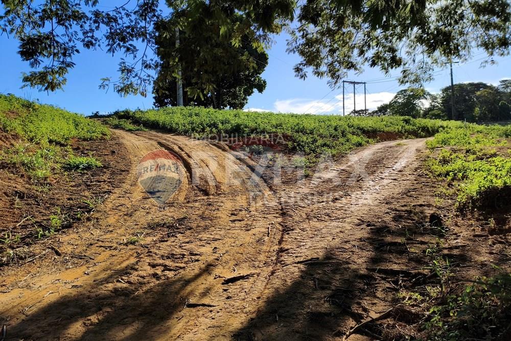 Terreno - Venda - Ipanema , Minas Gerais - 4_image_4_watermark_dom._11012026_132138.jpg - 870451001-161