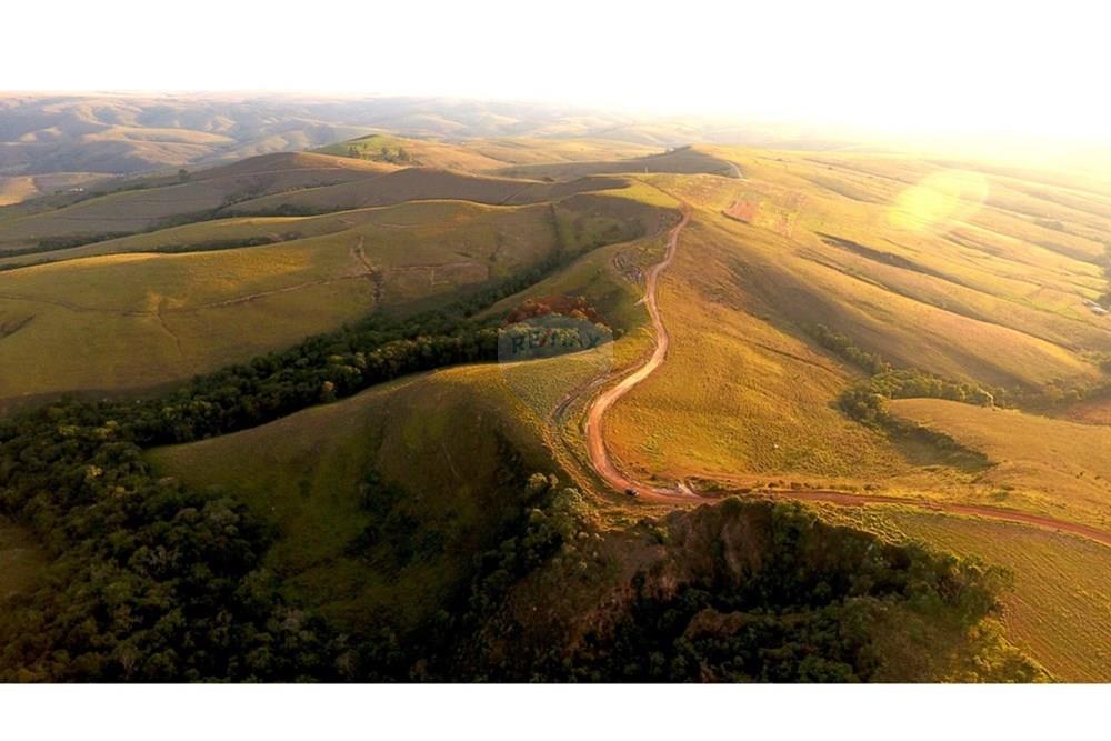 Fazenda - Venda - São Roque de Minas , Minas Gerais - DJI_0032.JPG - 870431039-50