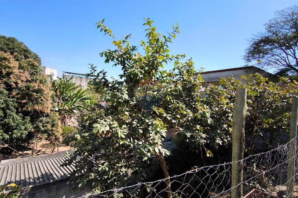 Terreno - Venda - Ibirité , Minas Gerais - IMG_20250717_130432.jpg - 870421081-6