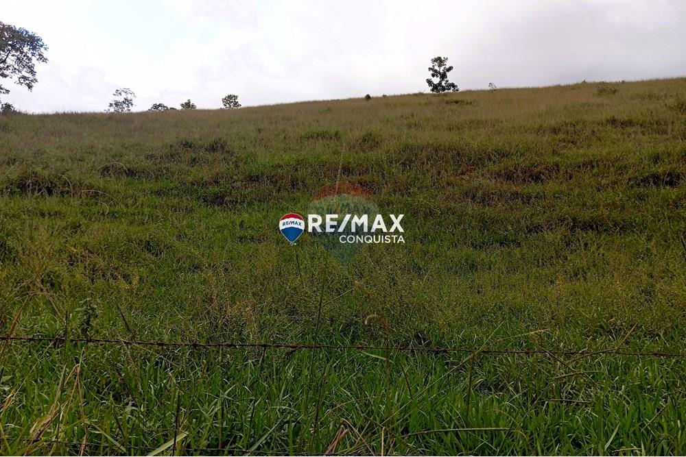 Terreno - Venda - Taparuba , Minas Gerais - 8_image_8_watermark_sex._02052025_101922.jpg - 870451001-127