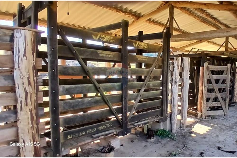 Fazenda - Venda - Serro , Minas Gerais - WhatsApp Image 2025-11-22 at 10.11.34 (1).jpeg - 870411101-18