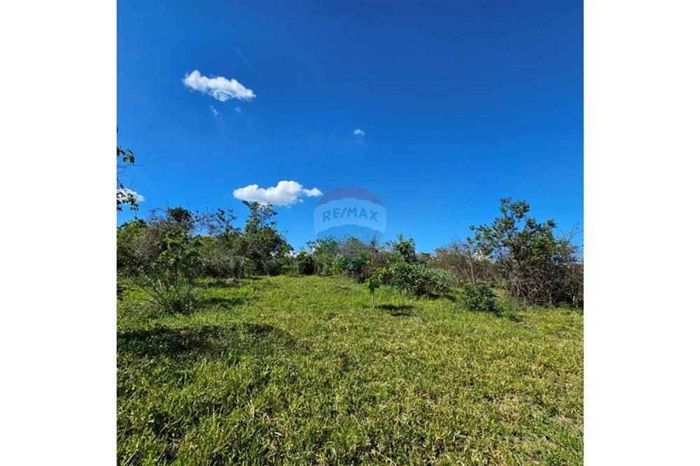 Terreno - Venda - Contagem , Minas Gerais - 20260112_152233.jpg - 870241034-67