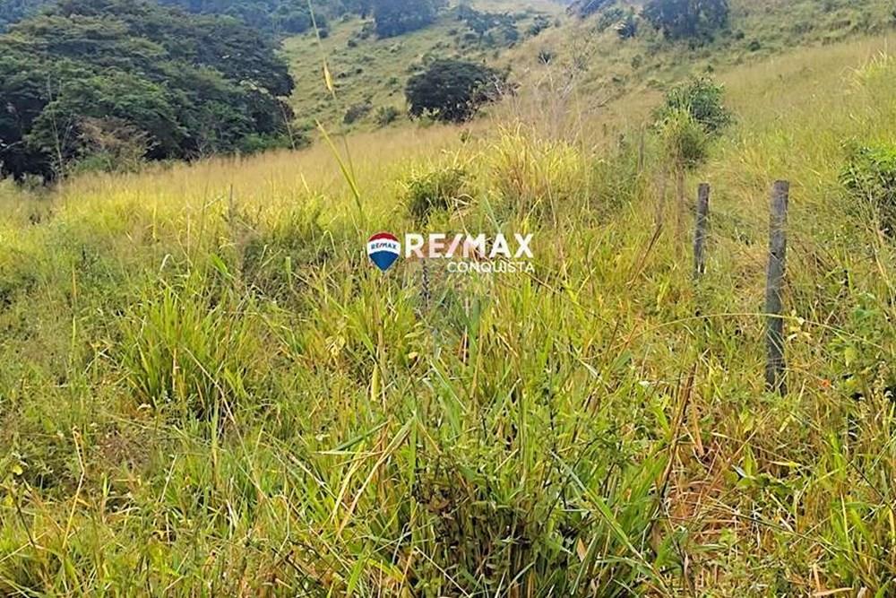 Chácara / Sítio / Fazenda - Venda - Ipanema , Minas Gerais - 4_IMG_20240515_083152_watermark_dom._23062024_100917.jpg - 870451001-122