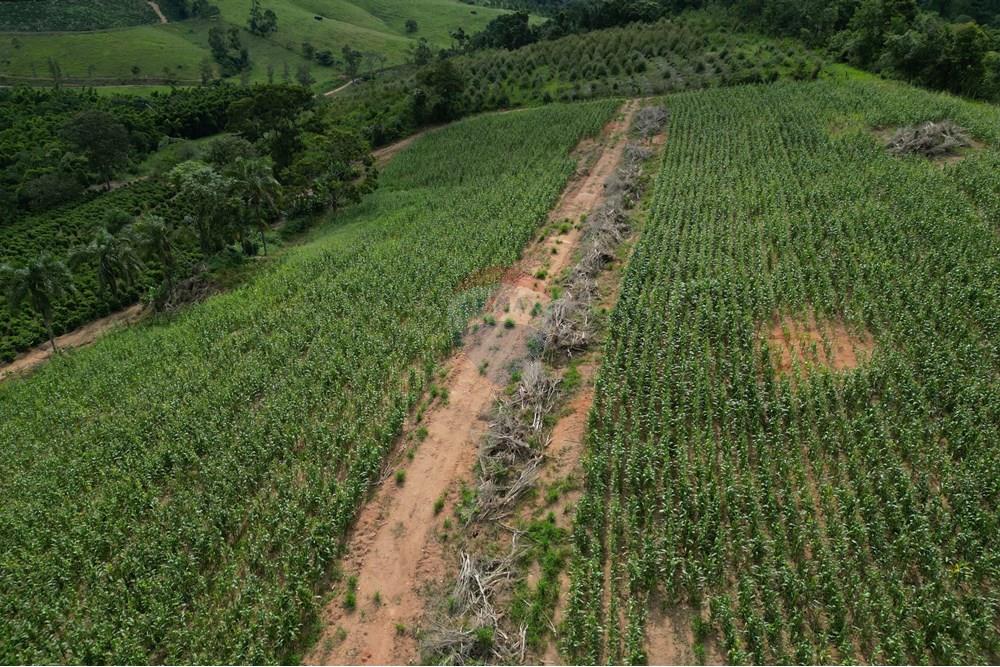Fazenda - Venda - Caconde , São Paulo - DJI_0007.JPG - 870361041-102
