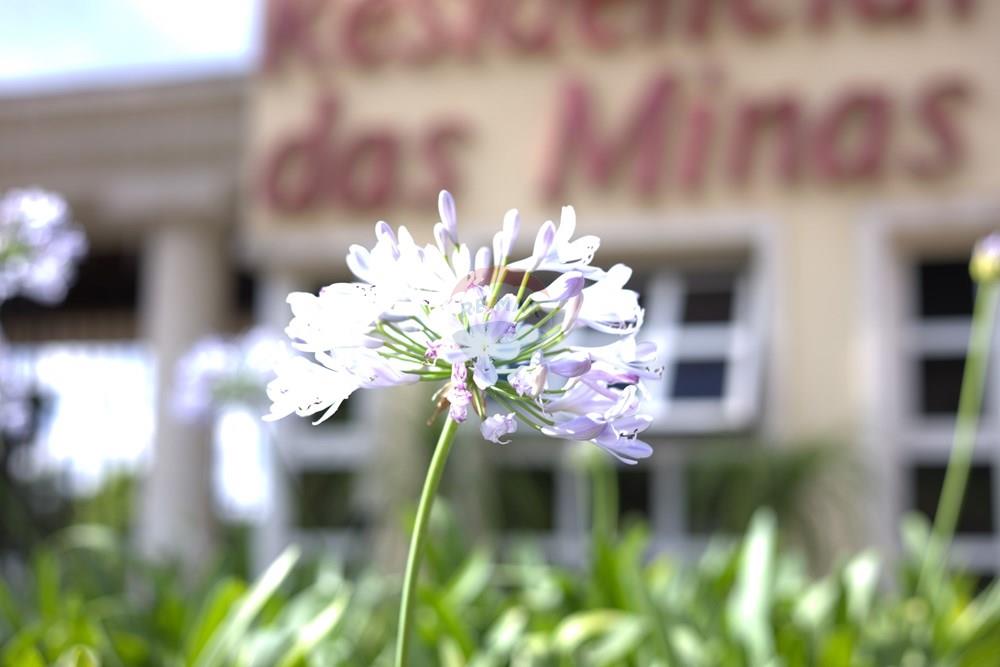 Casa de Condomínio - Venda - Nova Lima , Minas Gerais - 0O0A9415.jpg - 870421024-223