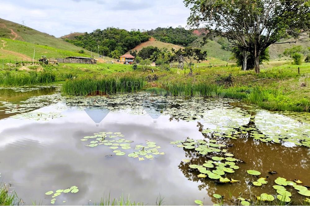 Chácara / Sítio / Fazenda - Venda - Ipanema , Minas Gerais - 5_image_5_watermark_qui._20112025_124547.jpg - 870451013-80