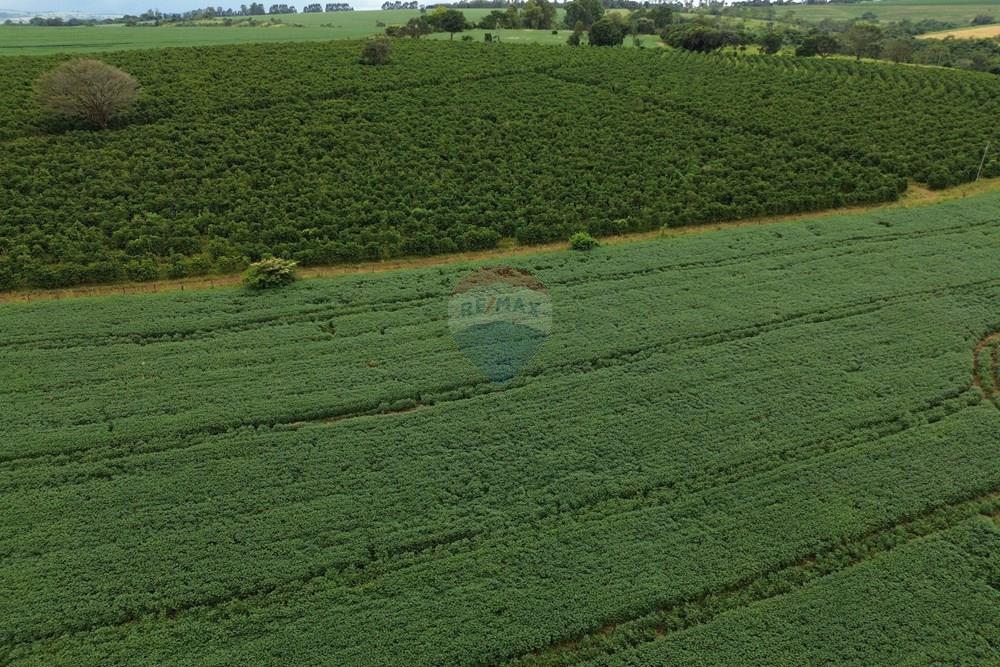 Fazenda - Venda - Araxá , Minas Gerais - 10.JPG - 870431045-58