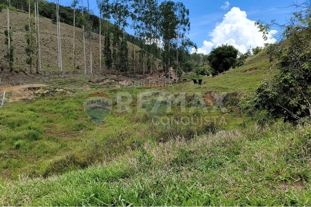 Chácara / Sítio / Fazenda - Venda - Taparuba , Minas Gerais - 6_image_6_watermark_sex._19122025_102344.jpg - 870451001-158