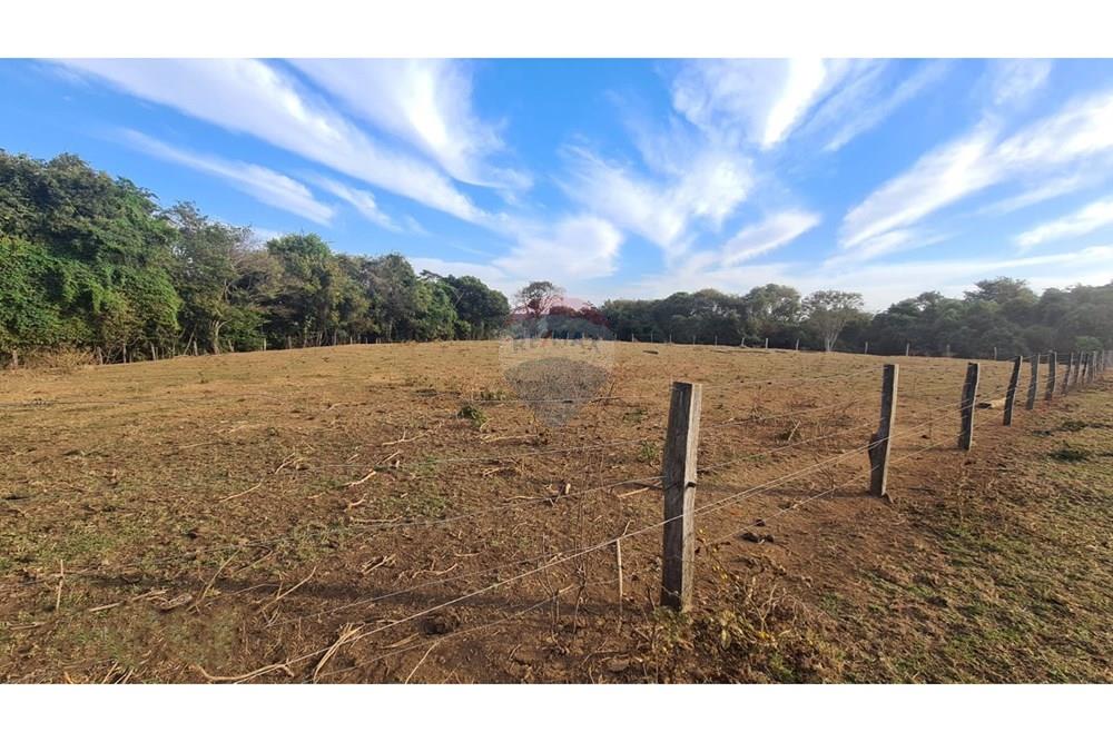 Chácara / Sítio / Fazenda - Venda - Uberaba , Minas Gerais - 43 Fazenda Venda R$ 6.500.000 em Uberaba na Remax 870291025-115.jpeg - 870291025-115