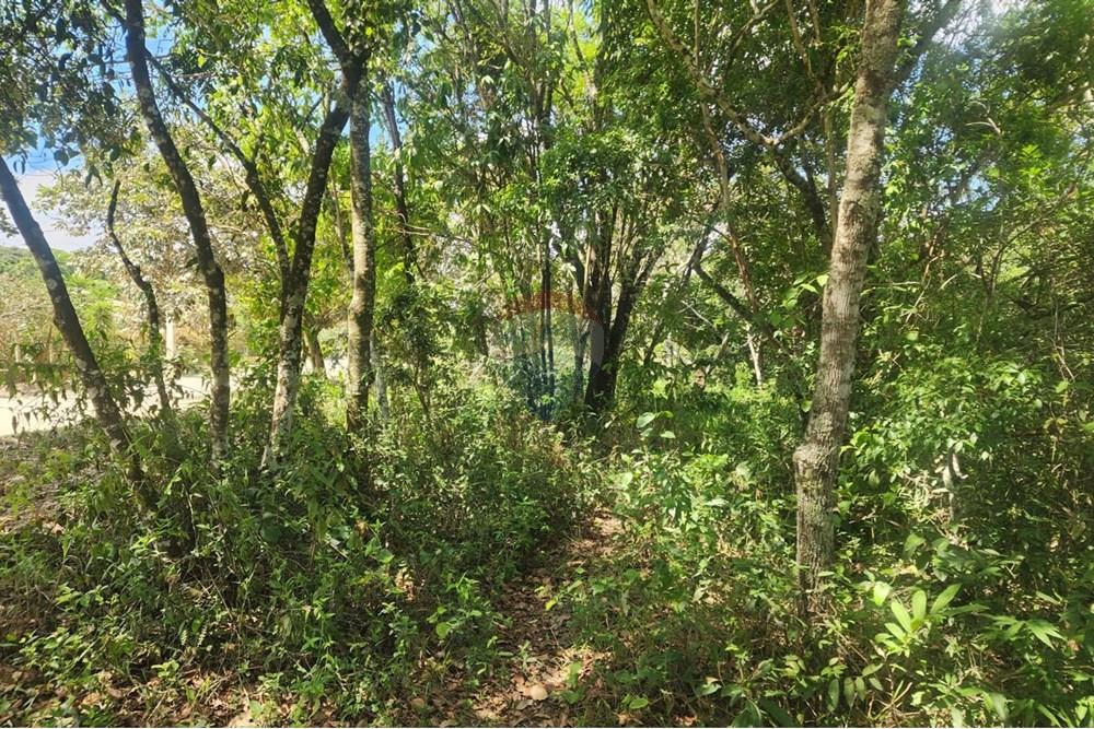 Chácara / Sítio / Fazenda - Venda - Contagem , Minas Gerais - FOTO33.jpg - 870241112-48