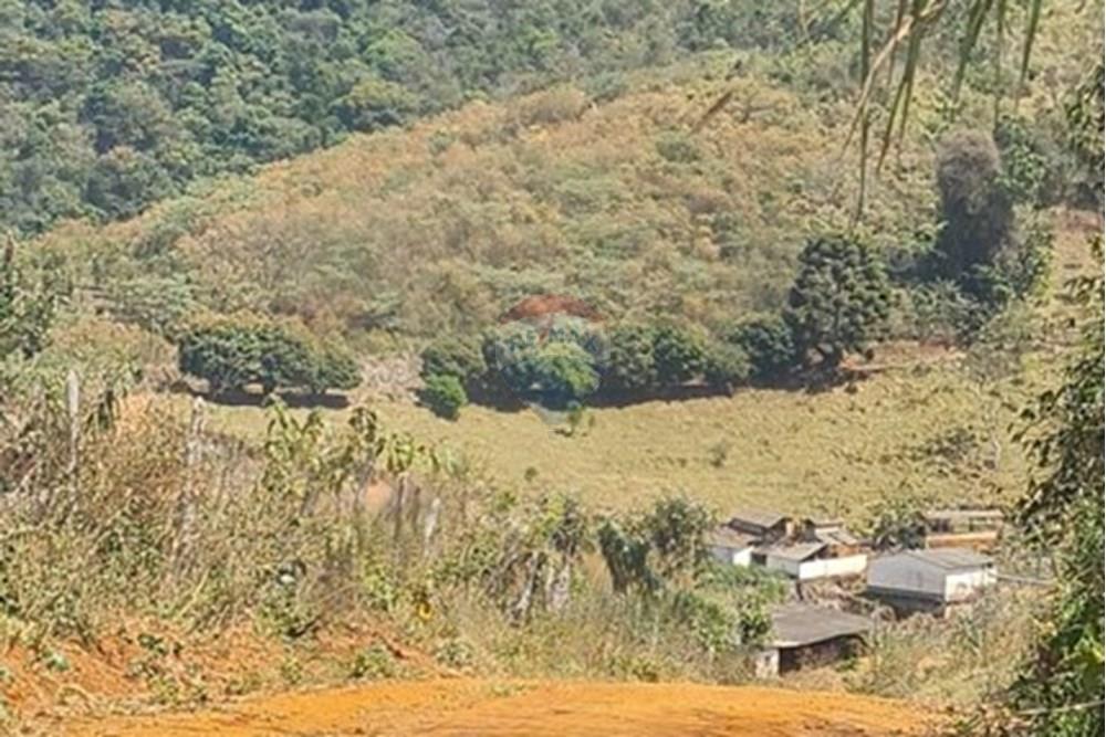 Chácara / Sítio / Fazenda - Venda - Casa Grande , Minas Gerais - foto 22.jpeg - 870411117-20