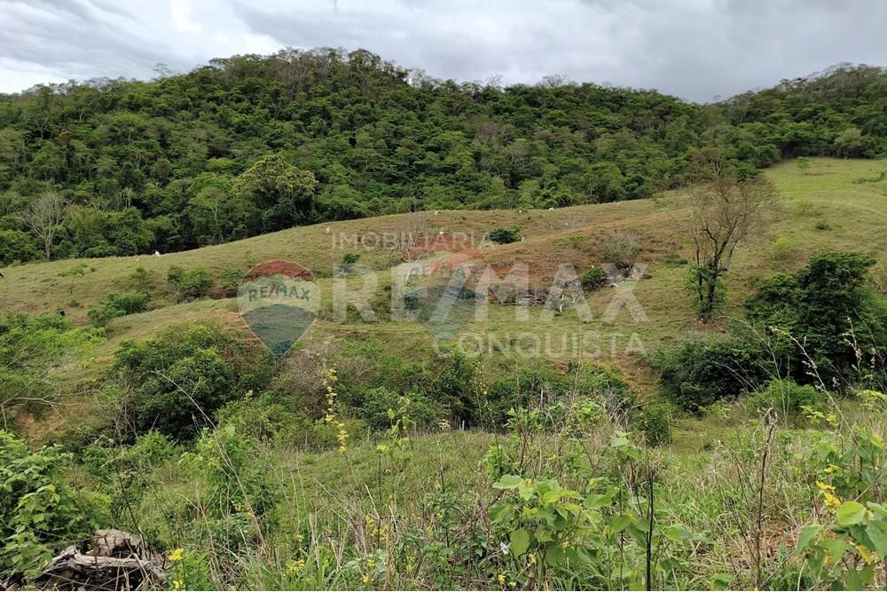 Chácara / Sítio / Fazenda - Venda - Ipanema , Minas Gerais - 8_image_8_watermark_qui._20112025_124248.jpg - 870451013-80