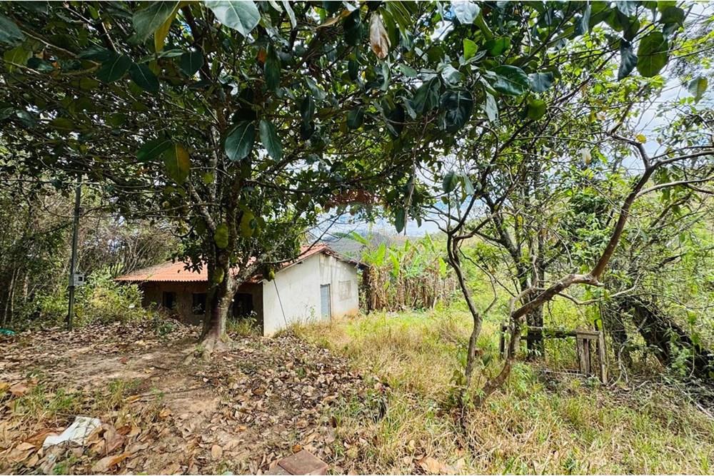 Chácara / Sítio / Fazenda - Venda - Caeté , Minas Gerais - IMG-20251030-WA0323.jpg - Layout aberto - 870421116-90