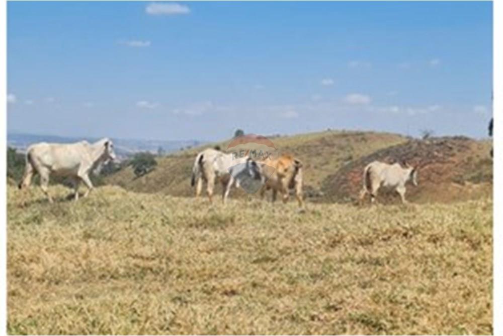 Chácara / Sítio / Fazenda - Venda - Casa Grande , Minas Gerais - foto 19.jpeg - 870411117-20