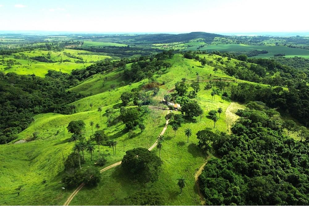 Chácara / Sítio / Fazenda - Venda - Araxá , Minas Gerais - 14.JPG - 870431045-37