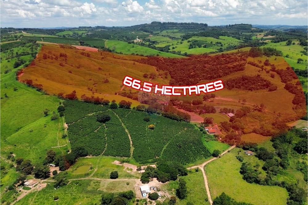 Chácara / Sítio / Fazenda - Venda - São Sebastião do Paraíso , Minas Gerais - WhatsApp Image 2026-03-11 at 09.30.11.jpeg - 870811007-126