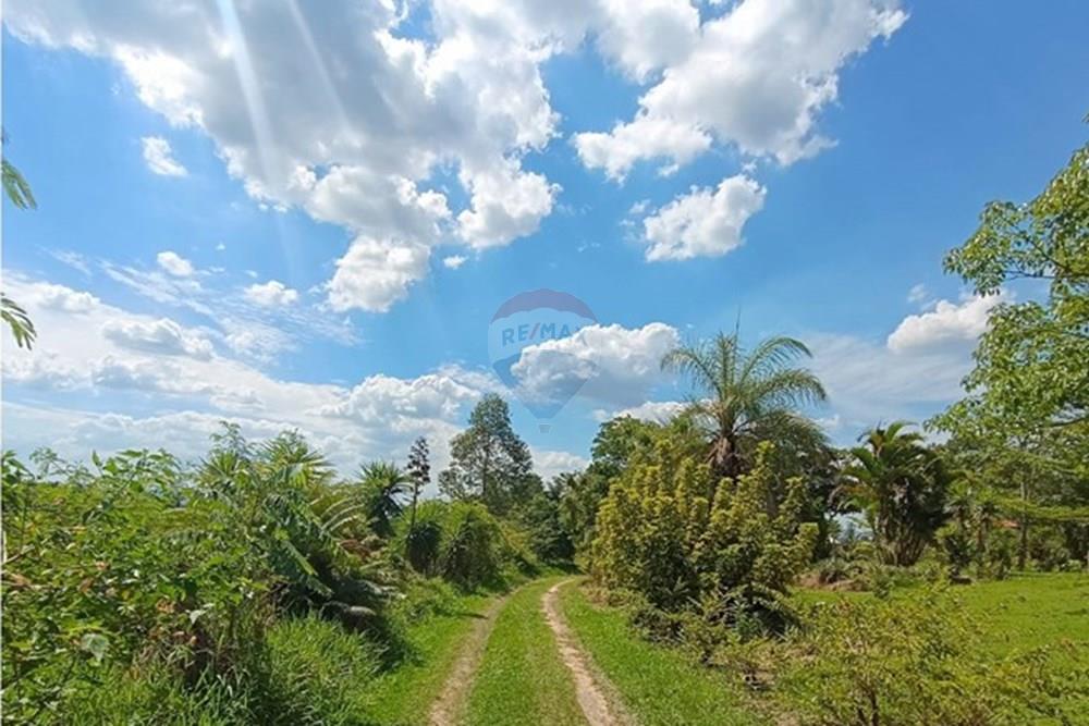 Terreno - Venda - Brumadinho , Minas Gerais - WhatsApp Image 2025-11-20 at 10.07.28 (3).jpeg - 870421014-353