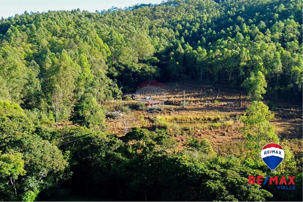 Chácara / Sítio / Fazenda - Venda - São Roque de Minas , Minas Gerais - 5c0fc5ef-499e-4f98-9029-1d505ed18c6f.jpg - 870731003-7