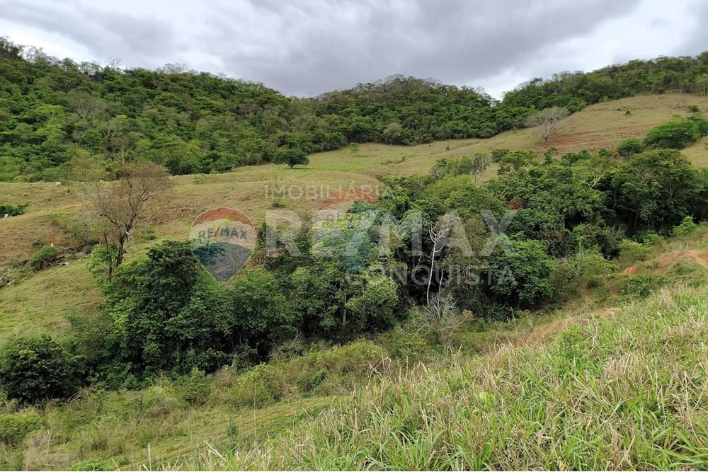 Chácara / Sítio / Fazenda - Venda - Ipanema , Minas Gerais - 9_image_9_watermark_qui._20112025_124248.jpg - 870451013-80