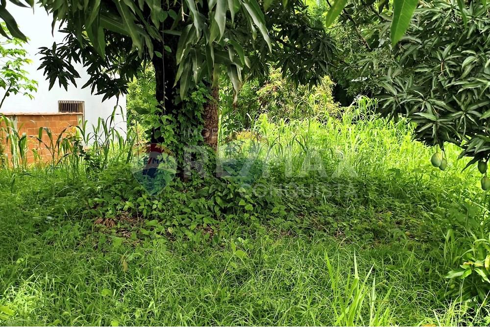 Terreno - Venda - Ipanema , Minas Gerais - 0_image_0_watermark_sex._19122025_100526.jpg - 870451004-112