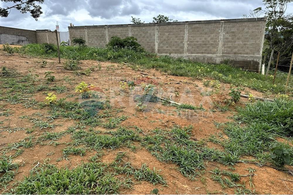 Terreno - Venda - Ipanema , Minas Gerais - 8_image_8_watermark_seg._15122025_151709.jpg - 870451001-157