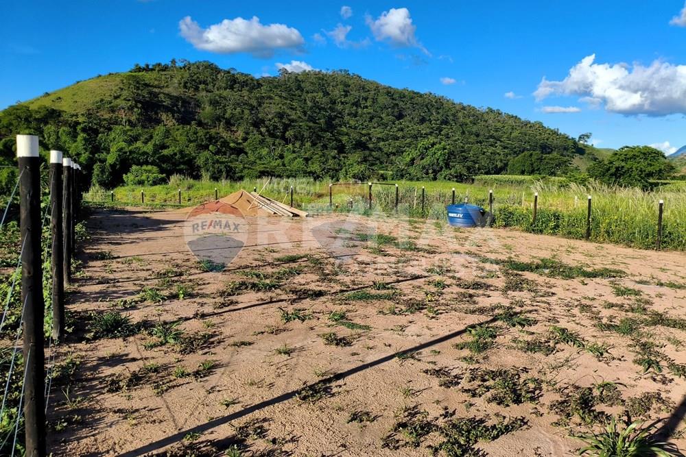 Chácara / Sítio / Fazenda - Venda - Conceição de Ipanema , Minas Gerais - 7_image_7_watermark_dom._11012026_131734.jpg - 870451004-113