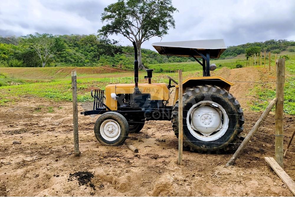 Chácara / Sítio / Fazenda - Venda - Ipanema , Minas Gerais - 9_image_9_watermark_qui._20112025_124422.jpg - 870451013-80
