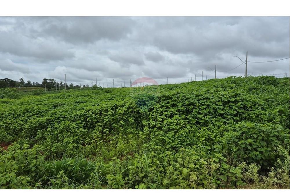 Terreno - Venda - Araxá , Minas Gerais - RODRIGO 4.jpeg - 870431054-10