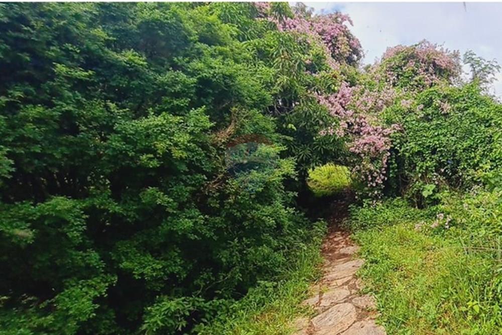 Fazenda - Venda - Pedro Leopoldo , Minas Gerais - WhatsApp Image 2025-12-11 at 15.19.16 (1).jpeg - 870411117-34