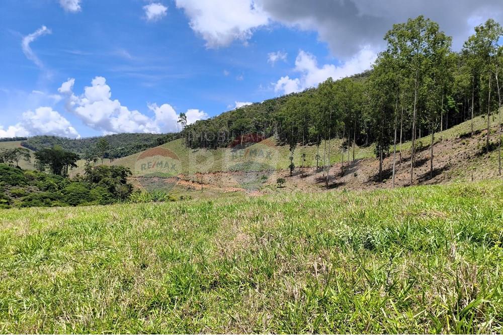 Chácara / Sítio / Fazenda - Venda - Taparuba , Minas Gerais - 5_image_5_watermark_sex._19122025_102040.jpg - 870451001-158