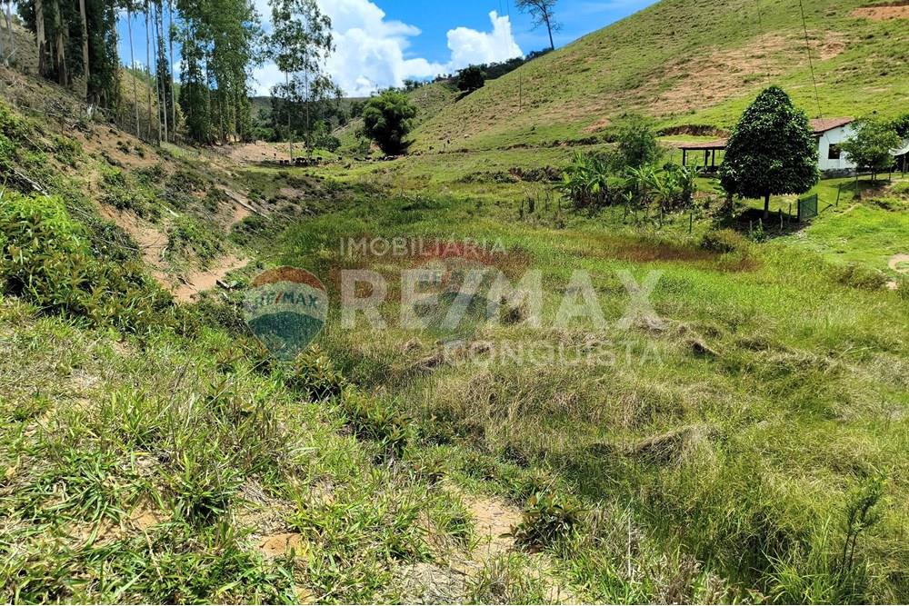Chácara / Sítio / Fazenda - Venda - Taparuba , Minas Gerais - 8_image_8_watermark_sex._19122025_102212.jpg - 870451001-158