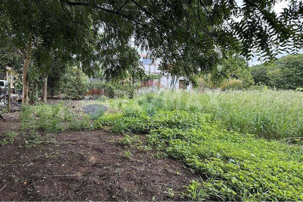 Chácara / Sítio / Fazenda - Venda - Ipanema , Minas Gerais - 7_image_7_watermark_ter._23122025_141303.jpg - 870451001-159