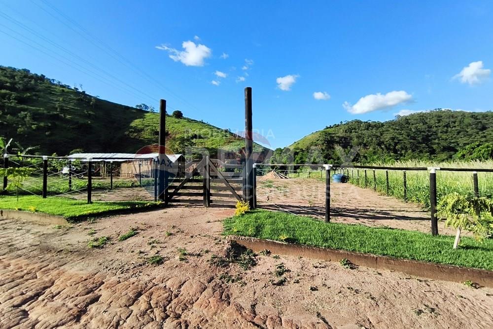 Chácara / Sítio / Fazenda - Venda - Conceição de Ipanema , Minas Gerais - 8_image_8_watermark_dom._11012026_131734.jpg - 870451004-113