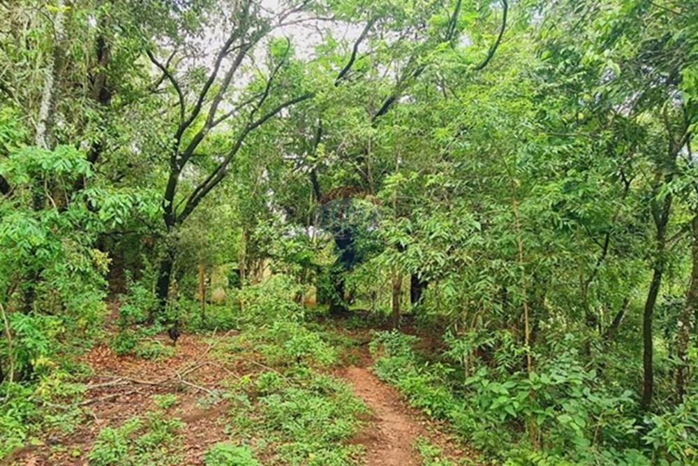 Fazenda - Venda - Pedro Leopoldo , Minas Gerais - WhatsApp Image 2025-12-11 at 16.48.50.jpeg - 870411117-34