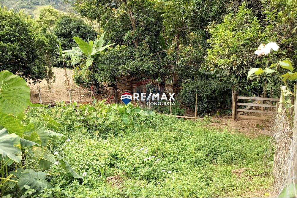 Chácara / Sítio / Fazenda - Venda - Ipanema , Minas Gerais - 5_image_5_watermark_seg._12052025_100203.jpg - 870451004-100