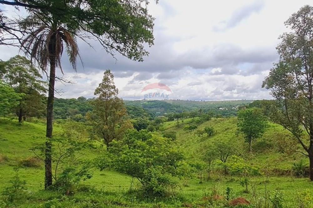 Fazenda - Venda - Pedro Leopoldo , Minas Gerais - WhatsApp Image 2025-12-11 at 15.18.33 (3).jpeg - 870411117-34