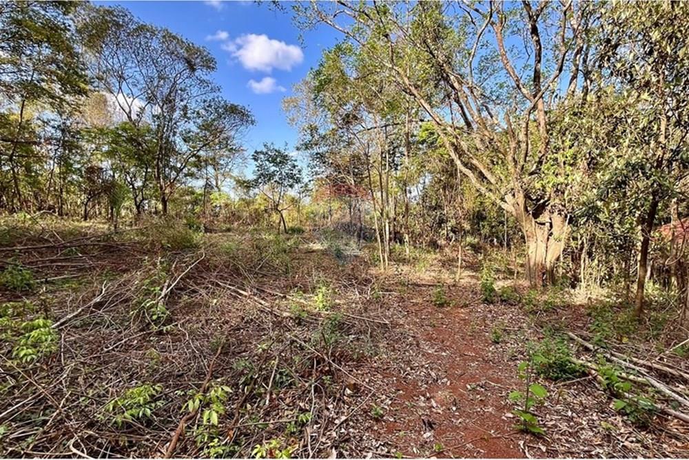 Chácara / Sítio / Fazenda - Venda - Nova Lima , Minas Gerais - WhatsApp Image 2025-10-23 at 11.25.31.jpeg - 870351032-22