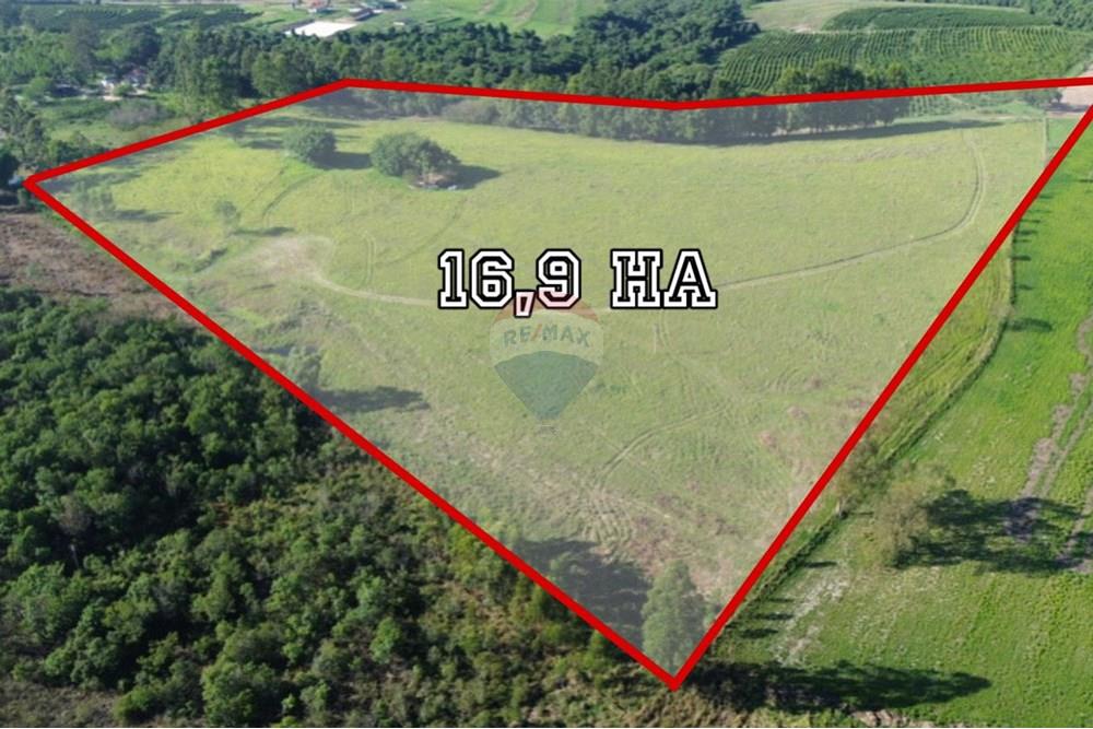 Chácara / Sítio / Fazenda - Venda - Santo Antônio da Alegria , São Paulo - SITIO SANTO ANTONIO-3.jpeg - 870601027-11