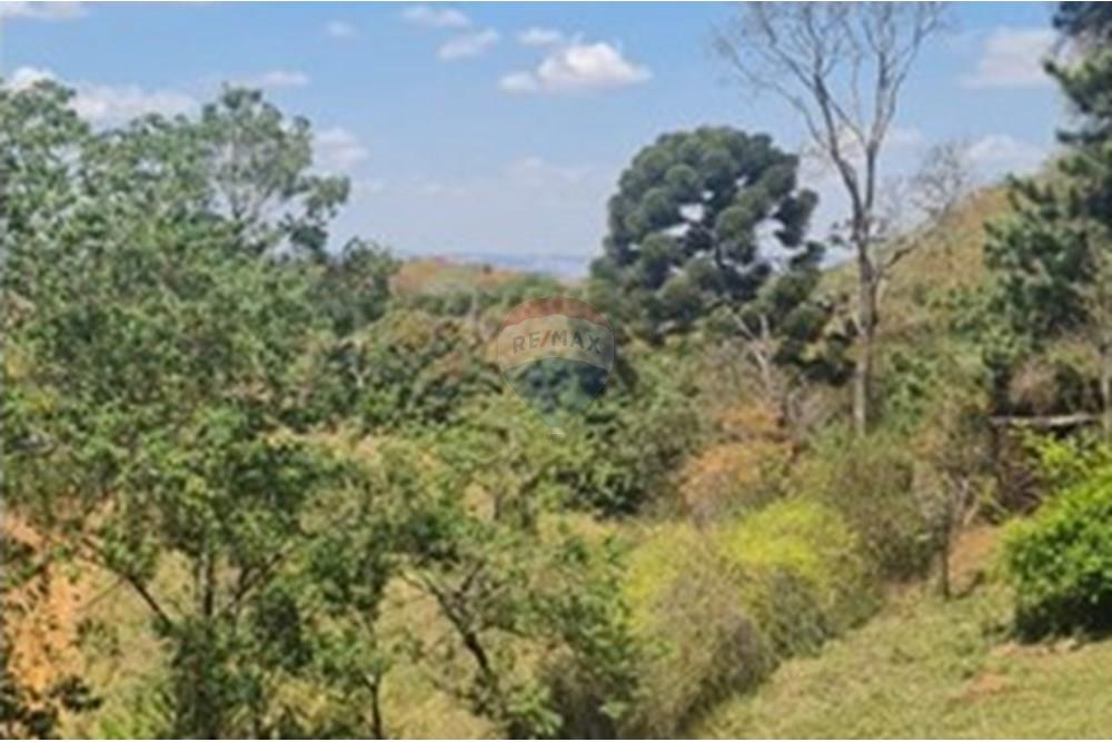 Chácara / Sítio / Fazenda - Venda - Casa Grande , Minas Gerais - foto 31.jpeg - 870411117-20