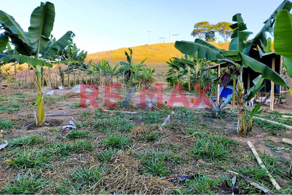 Chácara / Sítio / Fazenda - Venda - Conceição de Ipanema , Minas Gerais - 7_image_7_watermark_seg._01092025_205144.jpg - 870451001-144