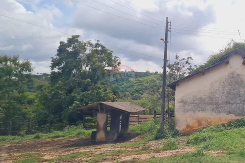 Fazenda - Venda - Pedro Leopoldo , Minas Gerais - 84e40212-9495-490c-aa67-f62c5feb0905.jpeg - 870411117-34